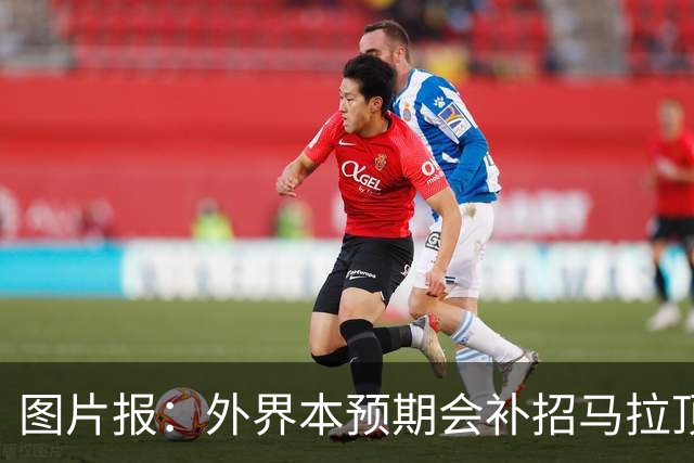 图片报：外界本预期会补招马拉顶替卡尔 韦德拉奥果优势是多面手